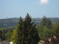 Aussicht aus der Heilpraktikerintensivschule Wiesbaden